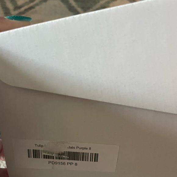 Hand Painted Sandals - Picture 6 of 6